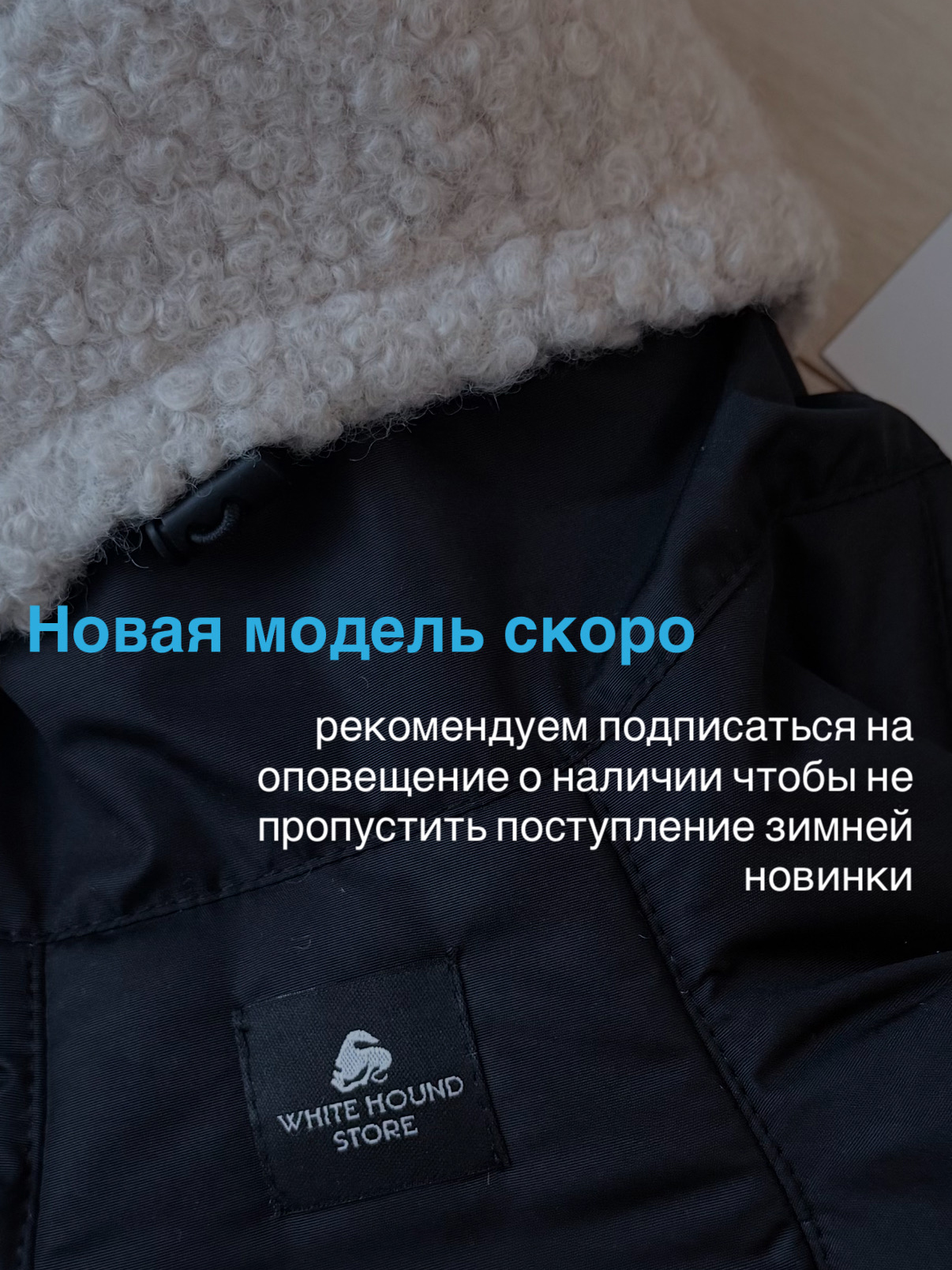 Зимний комбинезон Black для Левретки (Итальянской Борзой)